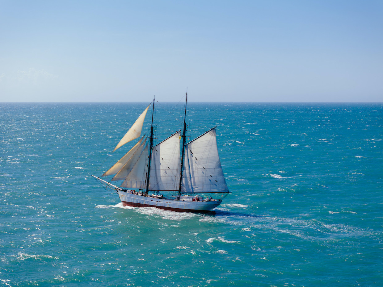 Caf- William-Caf- William sails towards sustainability- Its firs