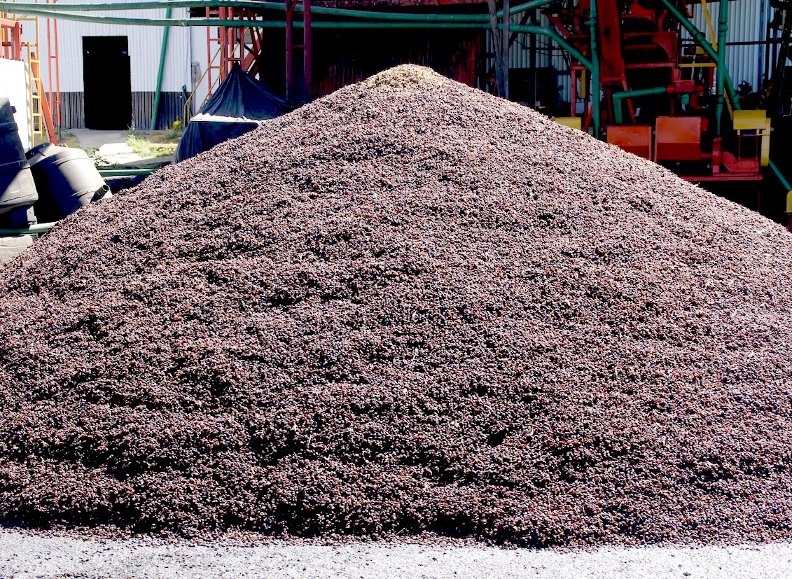 coffee waste