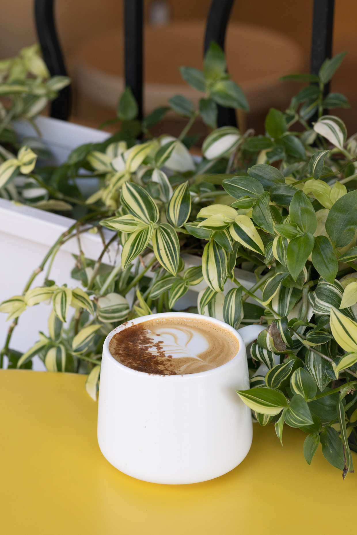 Groovy Goose Coffee latte