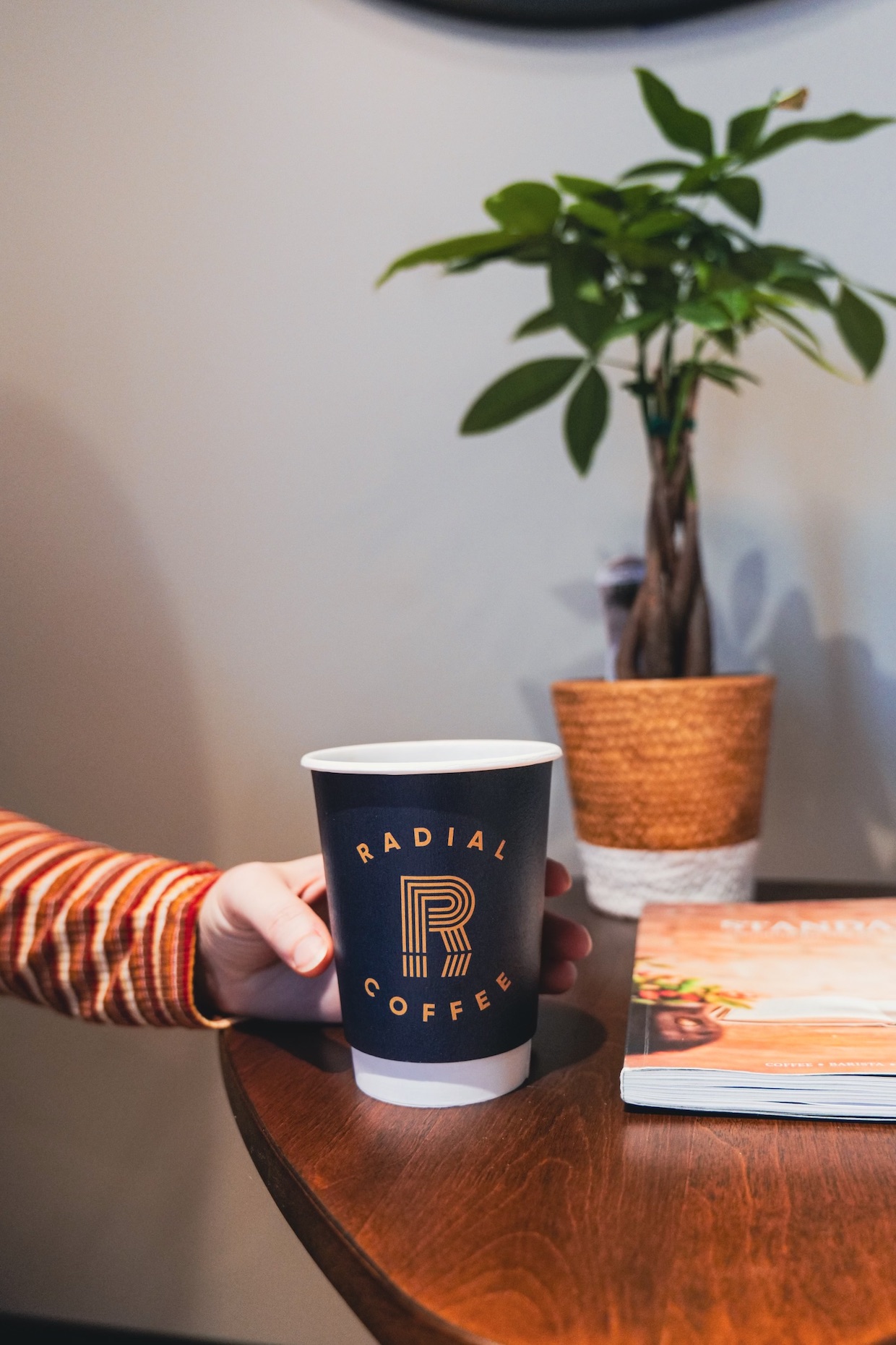 Radial Coffee connecticut